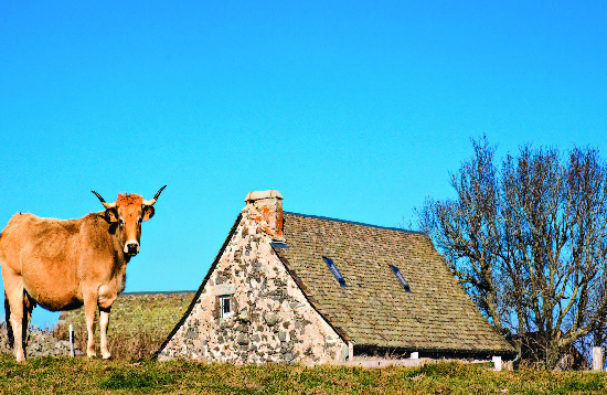 Séjour Ferme pdagogique1